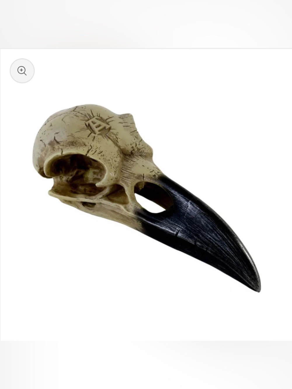 Alchemy Gothic Raven Skull Accent - Corvus Alchemica